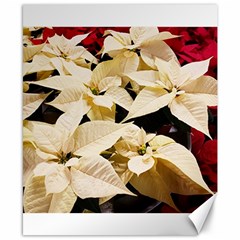 Christmas Poinsettia Decoration Canvas 8  X 10  by Pakrebo