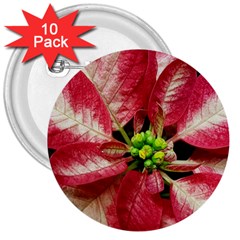 Christmas Poinsettia Deco Jewellery 3  Buttons (10 Pack)  by Pakrebo