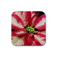 Christmas Poinsettia Deco Jewellery Rubber Square Coaster (4 Pack)  by Pakrebo