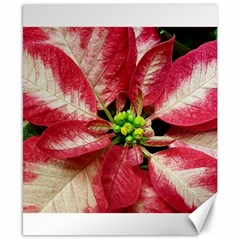 Christmas Poinsettia Deco Jewellery Canvas 8  X 10  by Pakrebo