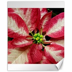 Christmas Poinsettia Deco Jewellery Canvas 16  X 20  by Pakrebo