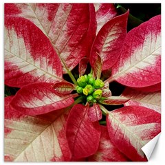 Christmas Poinsettia Deco Jewellery Canvas 20  X 20  by Pakrebo