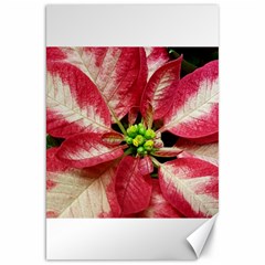 Christmas Poinsettia Deco Jewellery Canvas 20  X 30  by Pakrebo