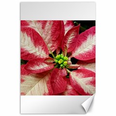 Christmas Poinsettia Deco Jewellery Canvas 24  X 36  by Pakrebo