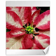 Christmas Poinsettia Deco Jewellery Canvas 11  X 14  by Pakrebo