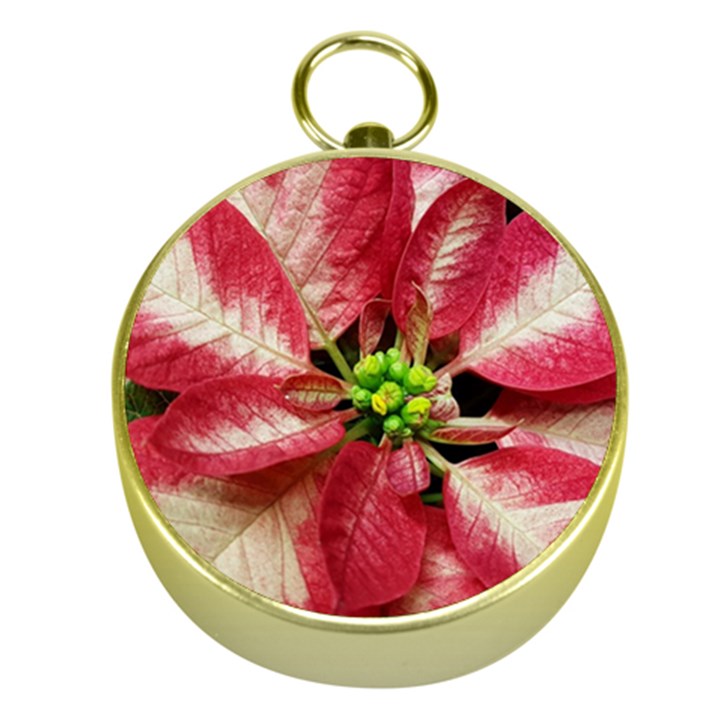 Christmas Poinsettia Deco Jewellery Gold Compasses