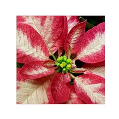 Christmas Poinsettia Deco Jewellery Small Satin Scarf (square) by Pakrebo