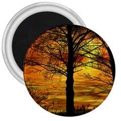 Nature Sunset Landscape Sun 3  Magnets by Pakrebo