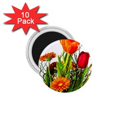 Tulip Gerbera Composites Broom 1 75  Magnets (10 Pack)  by Pakrebo