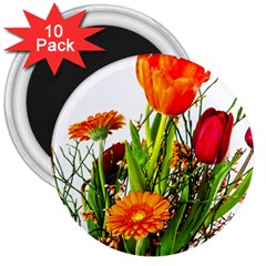 Tulip Gerbera Composites Broom 3  Magnets (10 Pack)  by Pakrebo