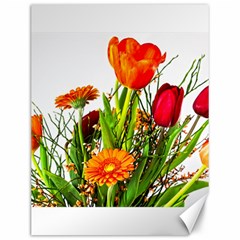 Tulip Gerbera Composites Broom Canvas 12  X 16  by Pakrebo