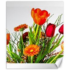 Tulip Gerbera Composites Broom Canvas 20  X 24  by Pakrebo