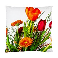 Tulip Gerbera Composites Broom Standard Cushion Case (two Sides) by Pakrebo