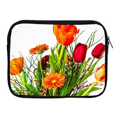 Tulip Gerbera Composites Broom Apple Ipad 2/3/4 Zipper Cases by Pakrebo