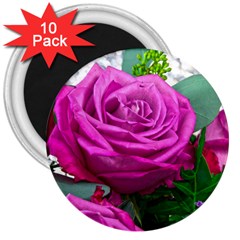 Rose Pink Purple Flower Bouquet 3  Magnets (10 Pack)  by Pakrebo