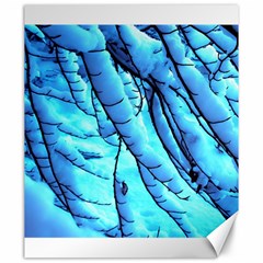 Winter Branch Tree Beech Snow Canvas 20  X 24  by Pakrebo