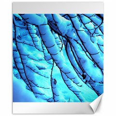 Winter Branch Tree Beech Snow Canvas 11  X 14  by Pakrebo