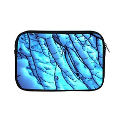 Winter Branch Tree Beech Snow Apple Ipad Mini Zipper Cases