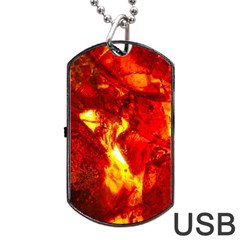 Bernstein Burning Stone Gem Dog Tag Usb Flash (two Sides) by Pakrebo