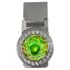 Ranunculus Blossom Bloom Nature Money Clips (cz)  by Pakrebo