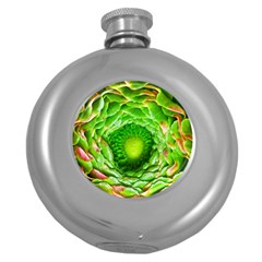 Ranunculus Blossom Bloom Nature Round Hip Flask (5 Oz) by Pakrebo