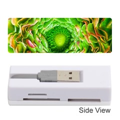 Ranunculus Blossom Bloom Nature Memory Card Reader (stick) by Pakrebo