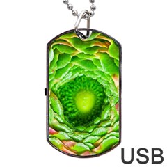 Ranunculus Blossom Bloom Nature Dog Tag Usb Flash (two Sides) by Pakrebo