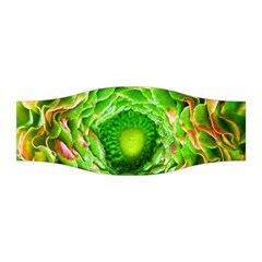 Ranunculus Blossom Bloom Nature Stretchable Headband by Pakrebo