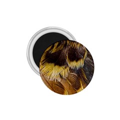 Wing Feather Bird Animal World 1 75  Magnets by Pakrebo