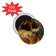 Wing Feather Bird Animal World 1 75  Magnets (100 Pack)  by Pakrebo