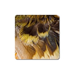 Wing Feather Bird Animal World Square Magnet by Pakrebo