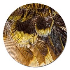 Wing Feather Bird Animal World Magnet 5  (round) by Pakrebo