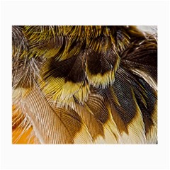 Wing Feather Bird Animal World Small Glasses Cloth by Pakrebo