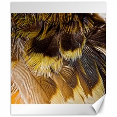 Wing Feather Bird Animal World Canvas 8  X 10  by Pakrebo