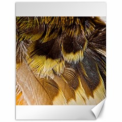 Wing Feather Bird Animal World Canvas 12  X 16  by Pakrebo