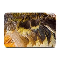 Wing Feather Bird Animal World Plate Mats by Pakrebo