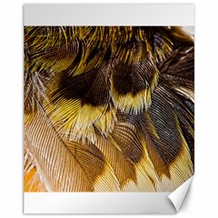 Wing Feather Bird Animal World Canvas 11  X 14  by Pakrebo