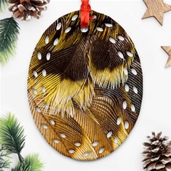 Wing Feather Bird Animal World Oval Filigree Ornament (two Sides) by Pakrebo