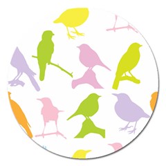 Birds Colourful Background Magnet 5  (round) by HermanTelo