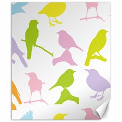 Birds Colourful Background Canvas 8  X 10 