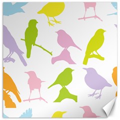 Birds Colourful Background Canvas 12  X 12 