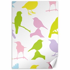 Birds Colourful Background Canvas 12  X 18 