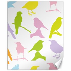 Birds Colourful Background Canvas 16  X 20 