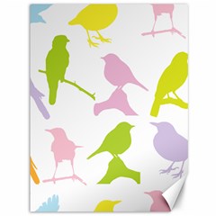 Birds Colourful Background Canvas 36  X 48 