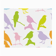 Birds Colourful Background Small Glasses Cloth (2 Sides)