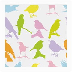 Birds Colourful Background Medium Glasses Cloth (2 Sides)