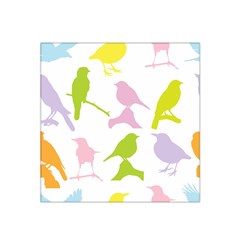 Birds Colourful Background Satin Bandana Scarf