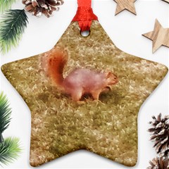 Squirrel Ornament (star) by Riverwoman