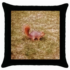 Squirrel Throw Pillow Case (black) by Riverwoman