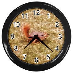 Squirrel Wall Clock (black) by Riverwoman